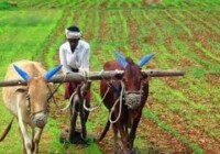 सरकार द्वारा किसानों के लिए चलाए गए विशेष केसीसी अभियान में 1.35 लाख करोड़ रुपये की खर्च सीमा के 1.5 करोड़ केसीसी जारीकिये गए